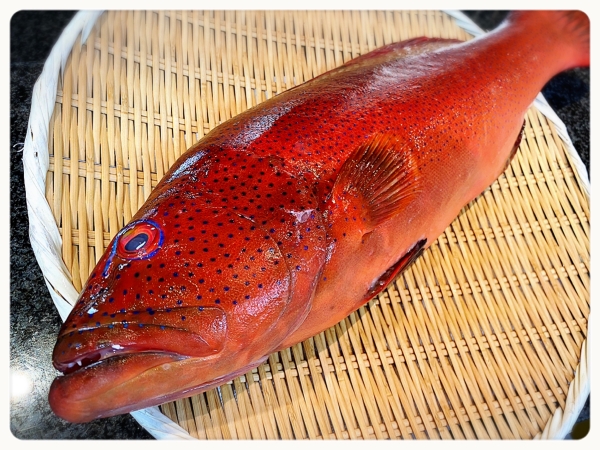 串木野 スジアラ